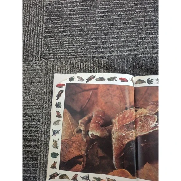 Amazing Frogs and Toads by Barry Clarke and Dorling Kindersley Publishing Staff - Picture 4 of 4